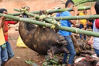 IMG_0769