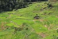 IMG_0776