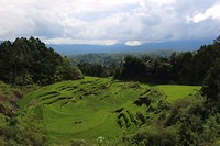 IMG_0786