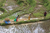IMG_0791
