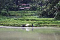 IMG_0801