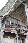 IMG_0809