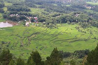 IMG_0828