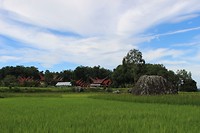 IMG_0848