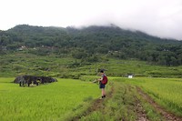 IMG_0887