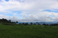 IMG_0902