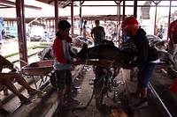 IMG_0948