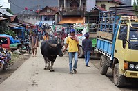IMG_0961