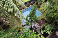IMG_0980