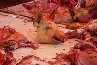 IMG_1034
