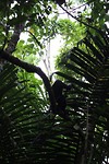 IMG_1330