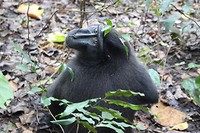 IMG_1339