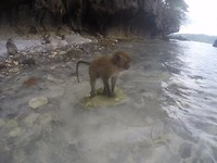 GOPR3966_1491023453573_high