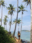 Mirissa - Coconut tree Hill