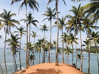 Mirissa - Coconut tree Hill