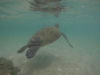 Unawatuna - Delawella Beach