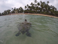Unawatuna - Delawella Beach