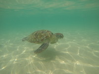 Unawatuna - Delawella Beach