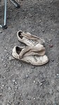 Li dr vieze schoenen