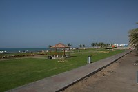 03. Muscat