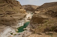 24. Wadi Ayoon