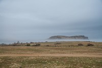 31. Kohr Rouri