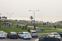 41. Muscat
