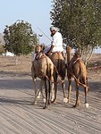 65. Abbasah