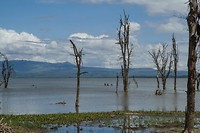 04. Lake Naivasha