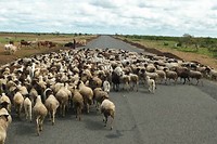 07. Onderweg