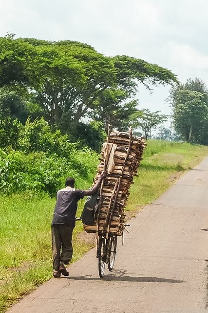 01. Kitale