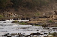 20. Masaai Mara