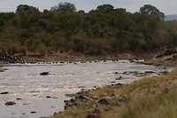 21. Masaai Mara