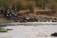 22. Masaai Mara
