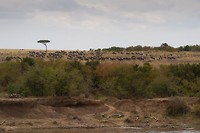 23. Masaai Mara