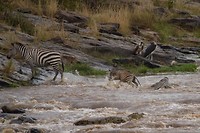 27. Masaai Mara