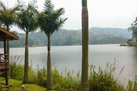 06. Bunyonyi