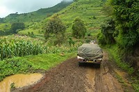 24. Mount Elgon