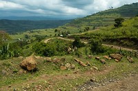 28. Mount Elgon