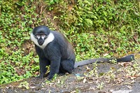 13. Nuyngwe NP