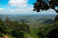 12. Zomba Plateau
