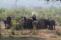 01. Kruger