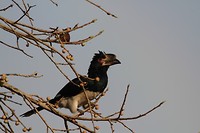 09. Victoria Falls