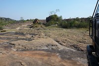 12. Matobo