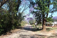 25. Chimanimani