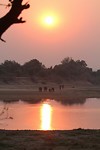 14. South Luangwa NP
