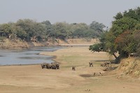 18. South Luangwa NP