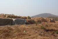 27. Chipata