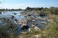 20. Mukwe