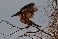 24. Katima Mulilo